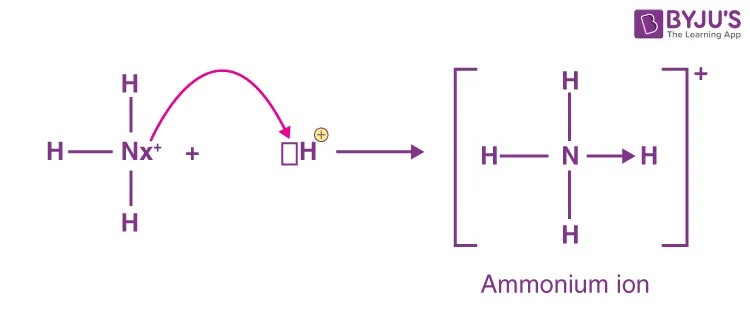 Formation of an Ammonium ion